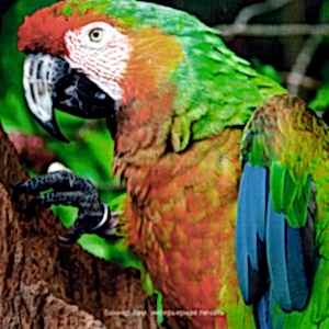 Баннер Интерьерная печать (720-1440 dpi)