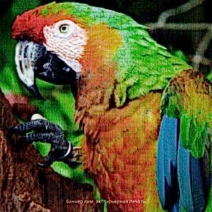 Баннер Широкоформатная экстерьерная печать (360-540 dpi)