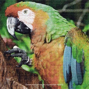 Баннер Широкоформатная интерьерная печать (720-1440)