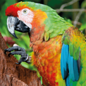 Баннер УФ печать 1440 dpi